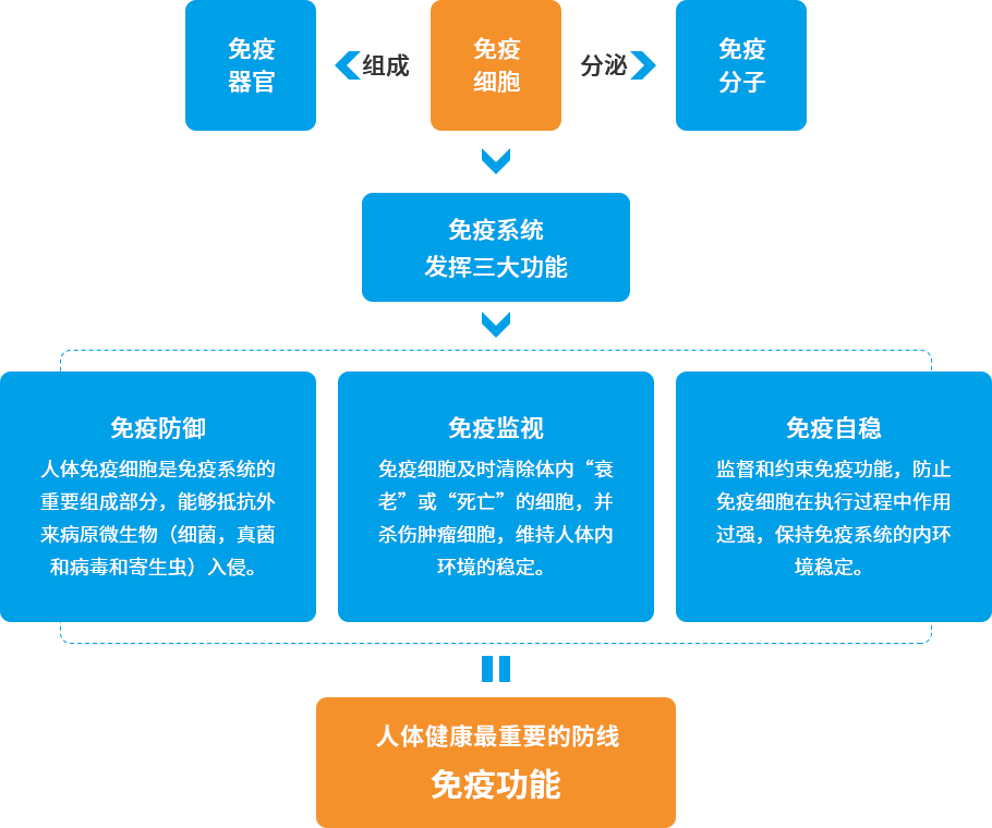 j9九游会网站